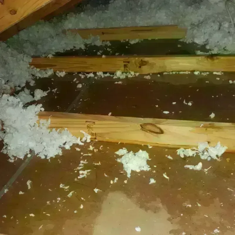 Attic Water Damage in La Selva Beach, CA