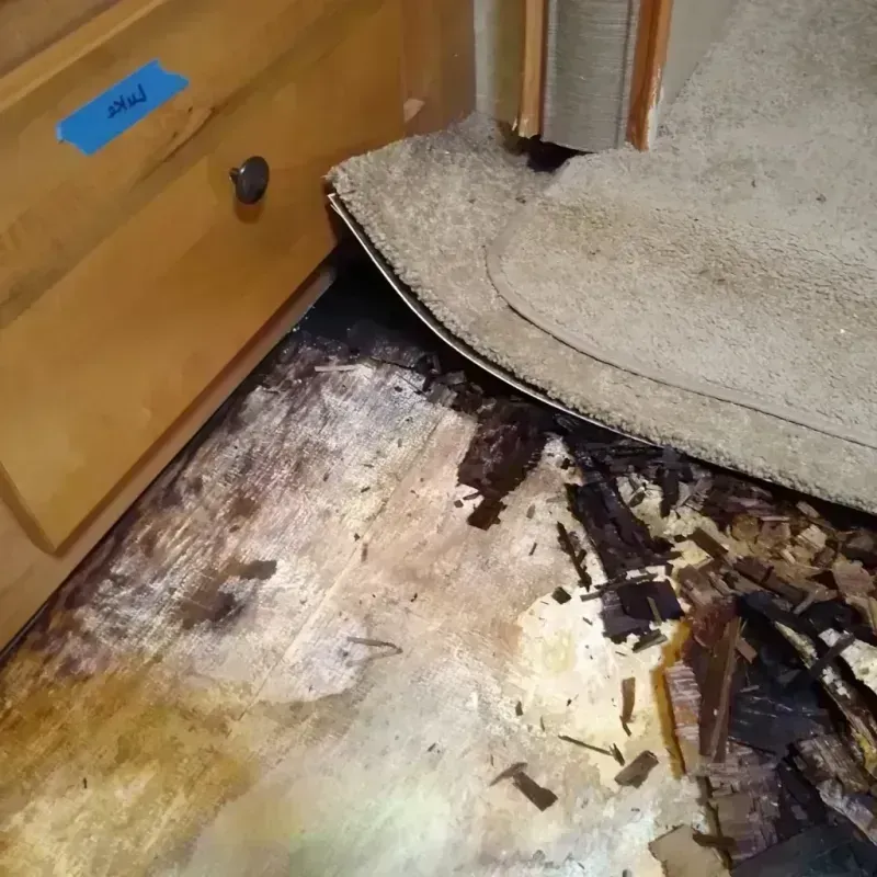 Best Wood Floor Water Damage Service in La Selva Beach, CA